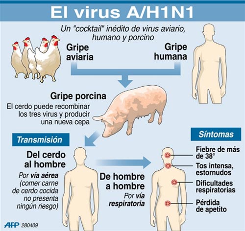GRIPE-A-H1N1